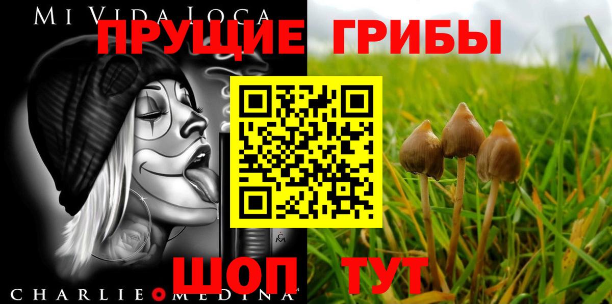 Галлюциногенные грибы GOLDEN TEACHER  Вход с VPN  Жигулёвск 